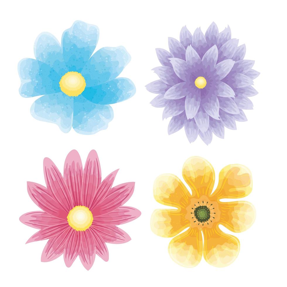 set of color flowers naturals vector