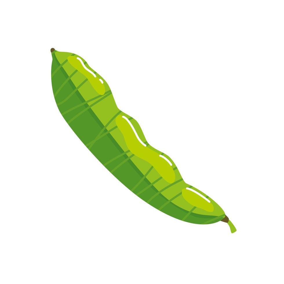 pod pea plant isolated icon vector