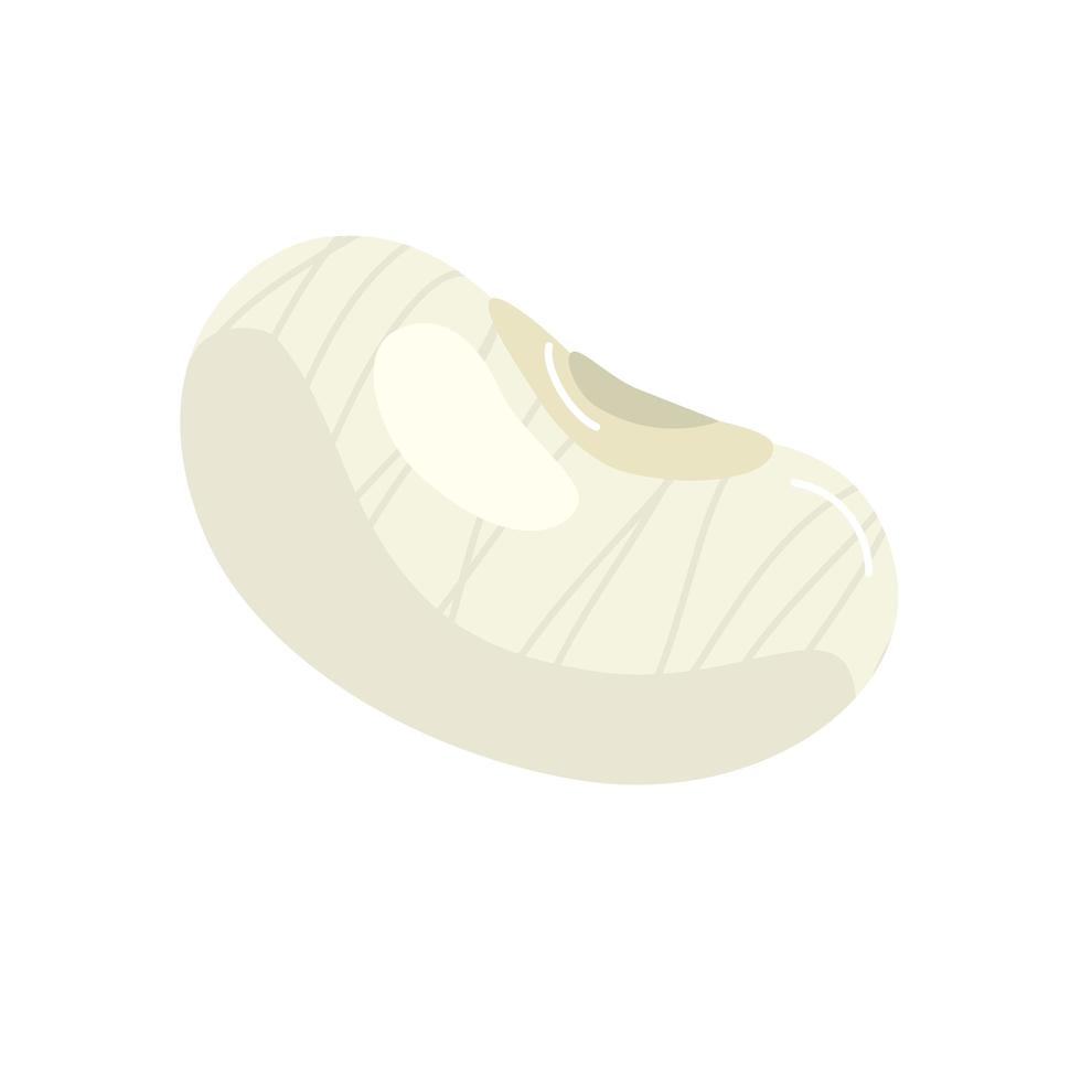 bean seed organic isolated icon vector