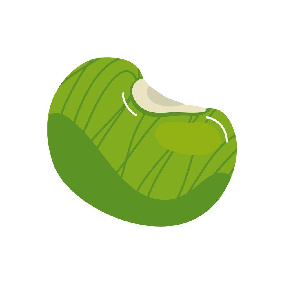 bean seed organic isolated icon vector