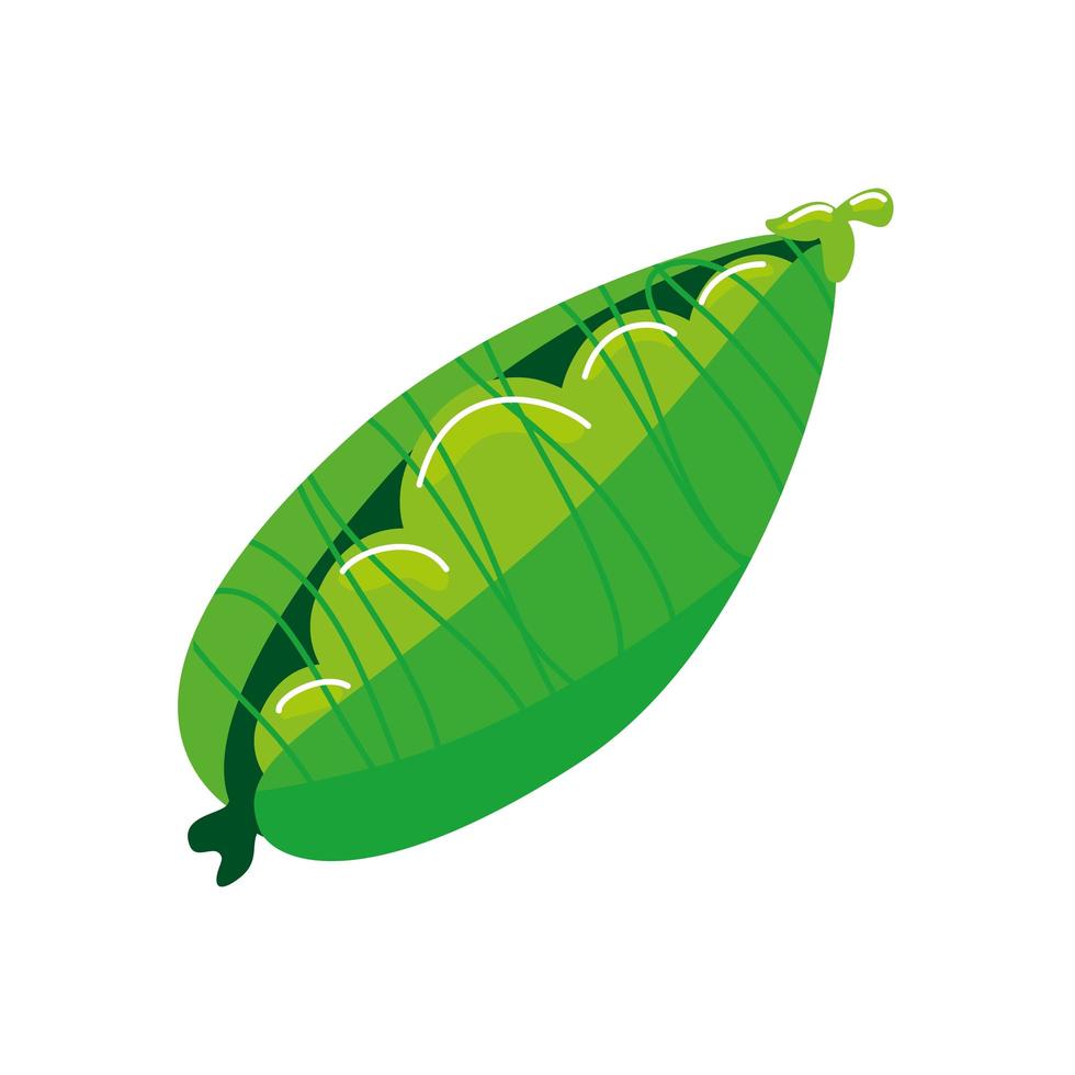 Icono aislado de la planta de guisantes de vaina vector