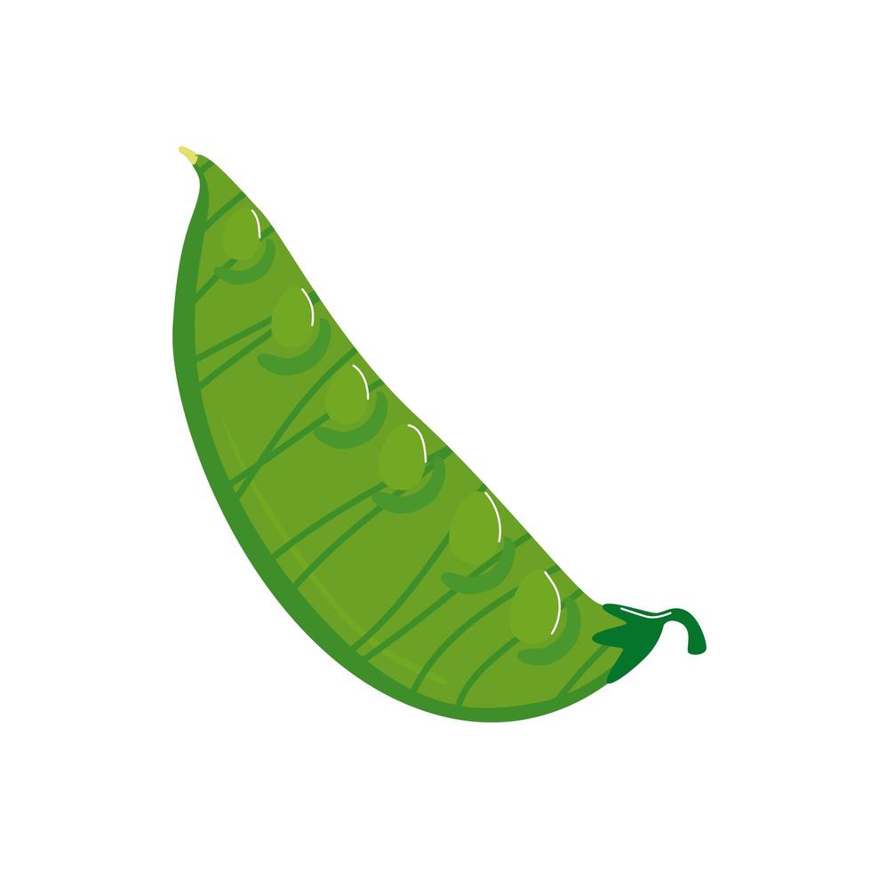 Icono aislado de la planta de guisantes de vaina vector