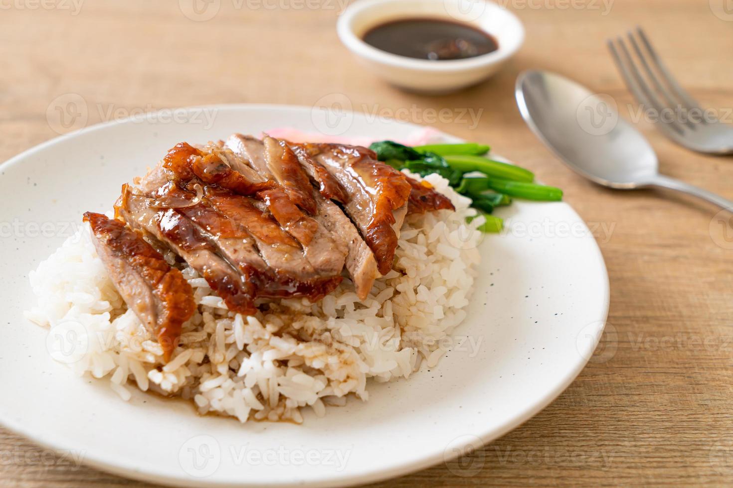 Roasted duck on rice photo