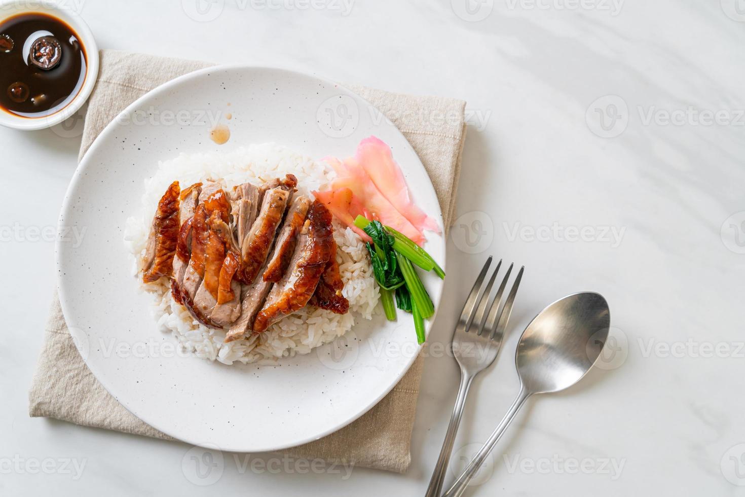 Roasted duck on rice photo