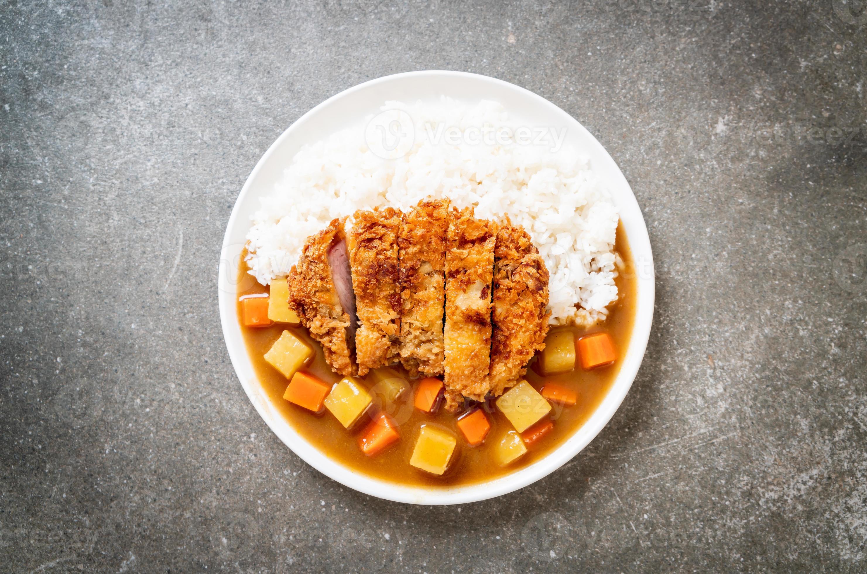 Crispy fried pork cutlet with curry and rice 2705142 Stock Photo at