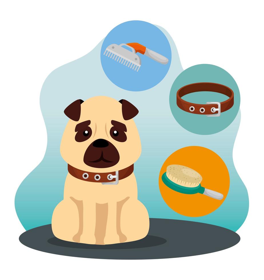 little dog with brush and icons vector