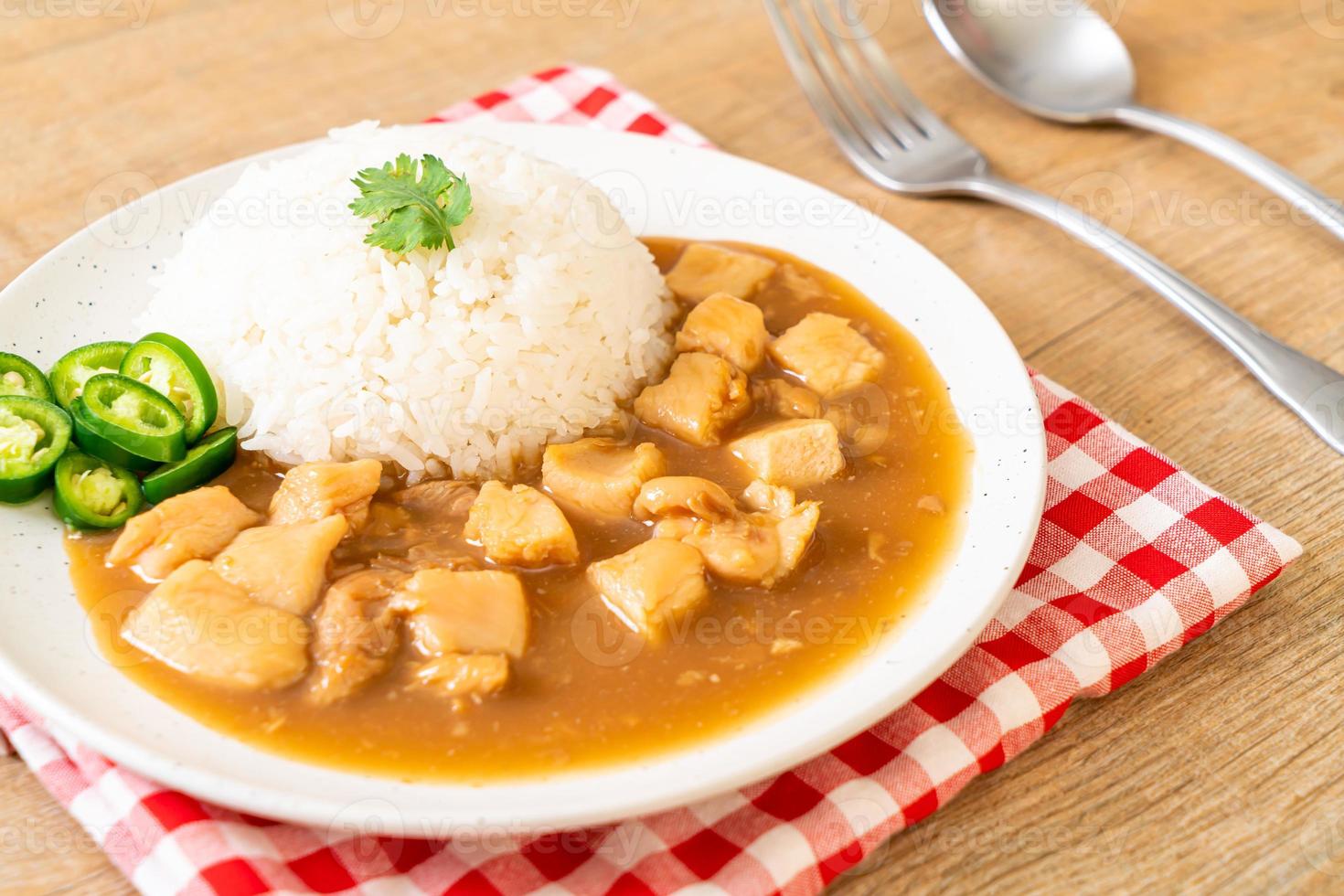 Chicken in brown sauce or gravy sauce with rice photo
