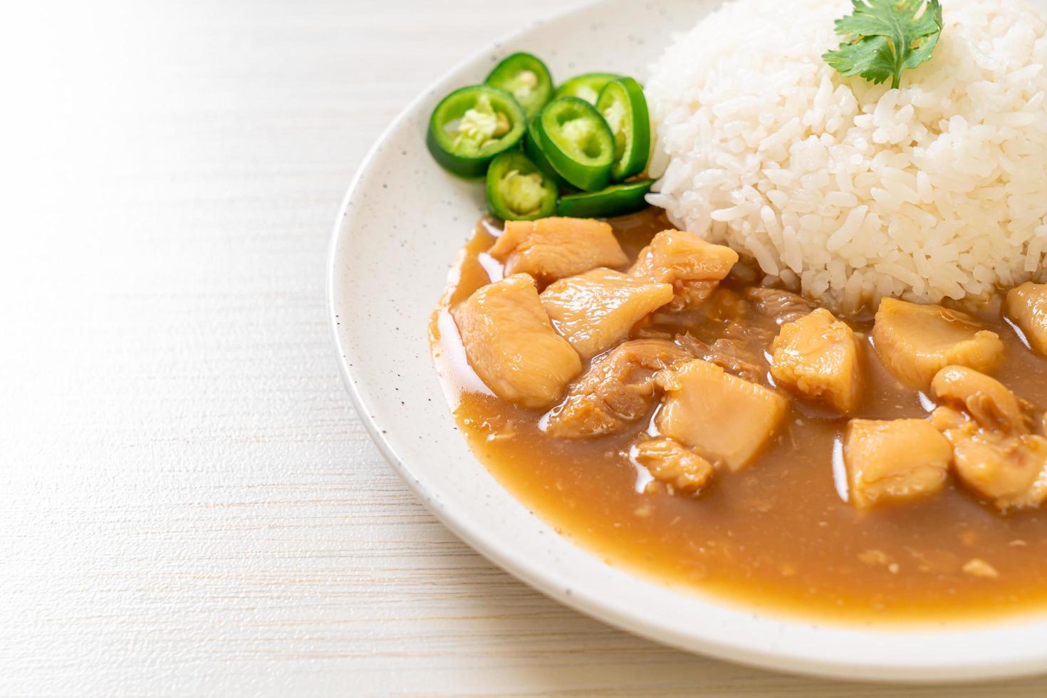Chicken in brown sauce or gravy sauce with rice photo
