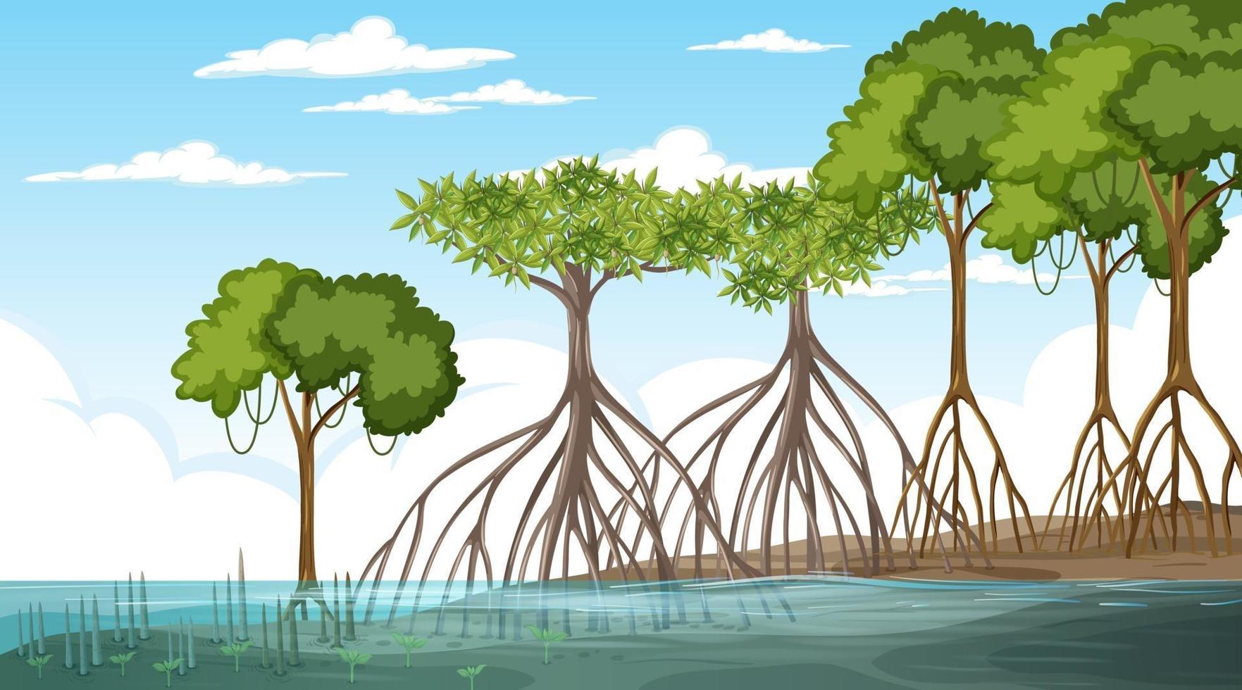Mangrove forest landscape scene at daytime vector