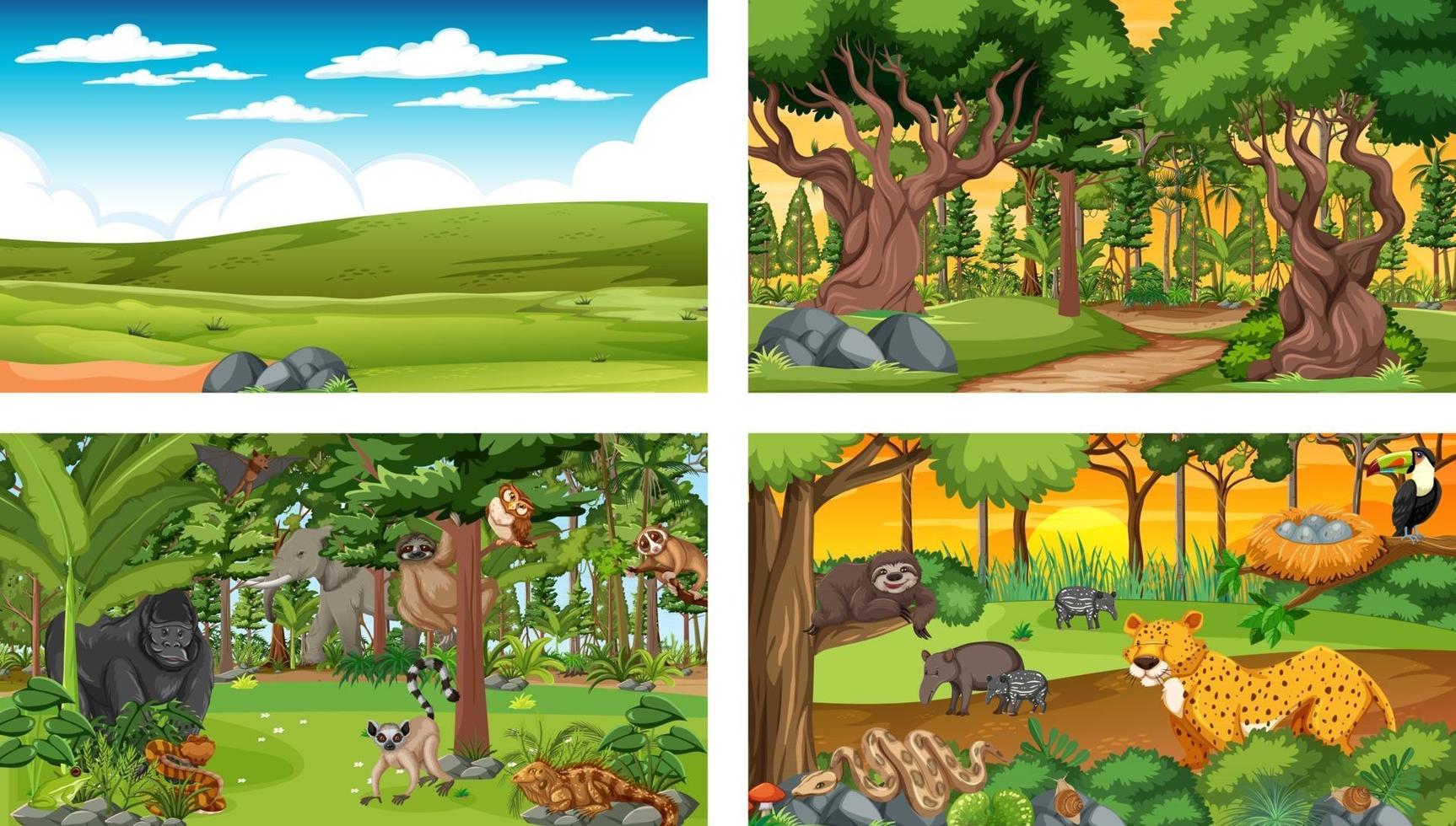 Diferentes escenas de la naturaleza del bosque y la selva tropical con animales salvajes. vector