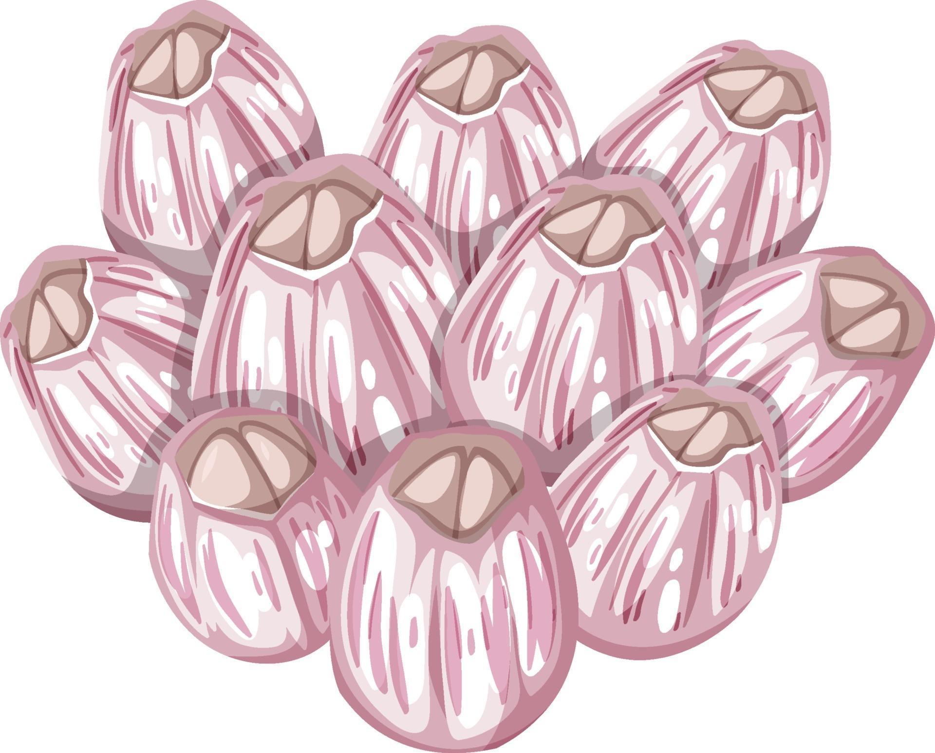 Barnacles in cartoon style on white background 2706935 Vector Art at