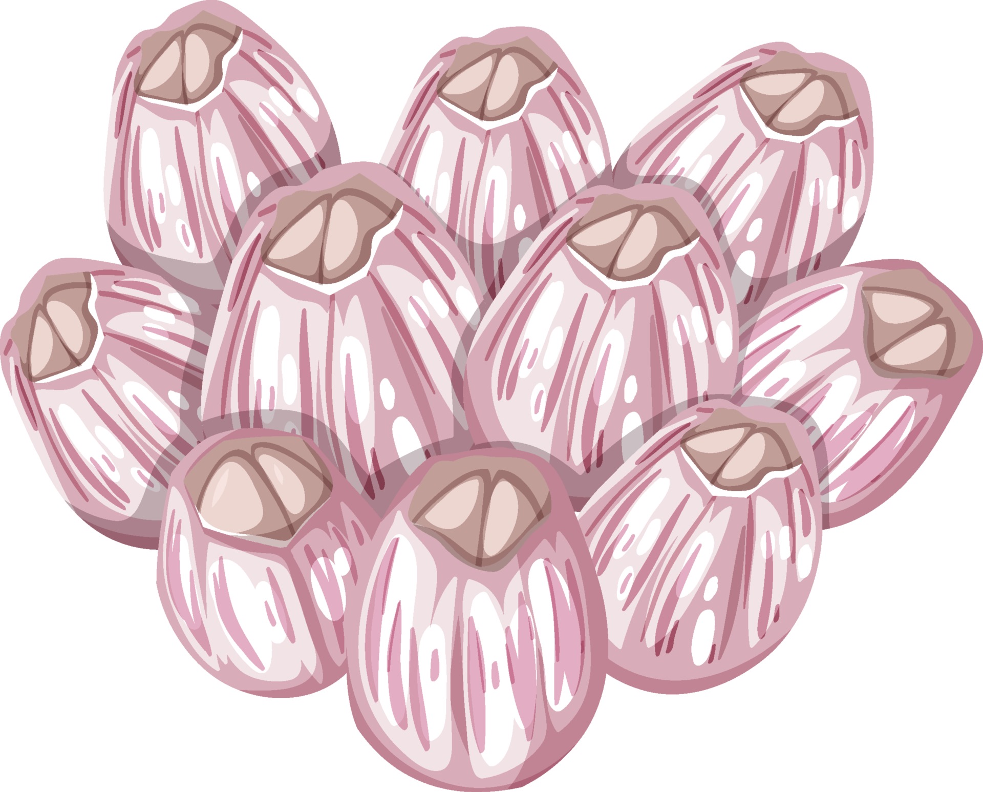 Barnacles in cartoon style on white background 2706935 Vector Art at