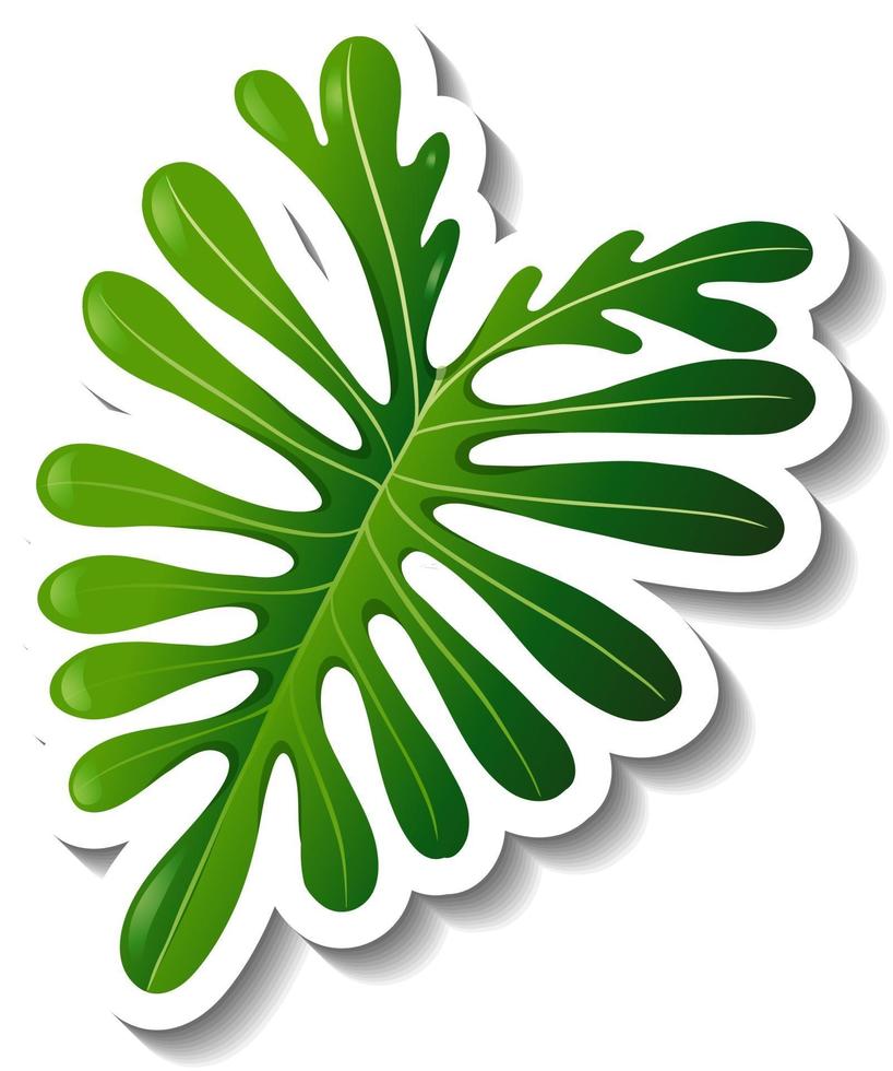 A sticker template with a tropical leaf isolated vector