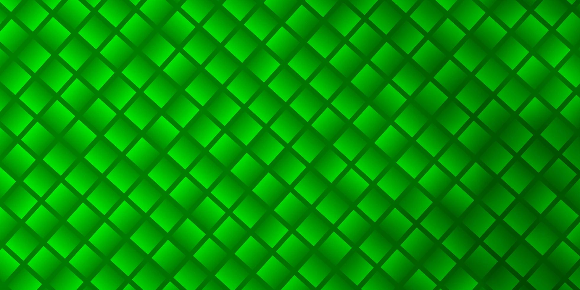 Light Green vector layout with lines rectangles