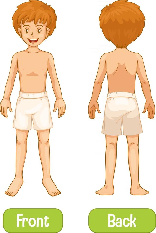 Opposite words with front and back of young man vector
