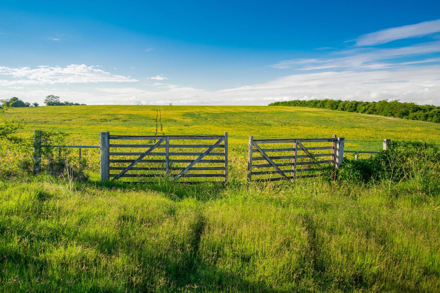 The Open Gate photo