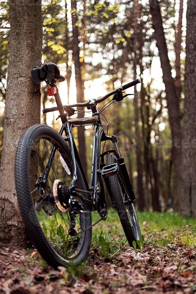 bicicleta de montaña en el bosque foto