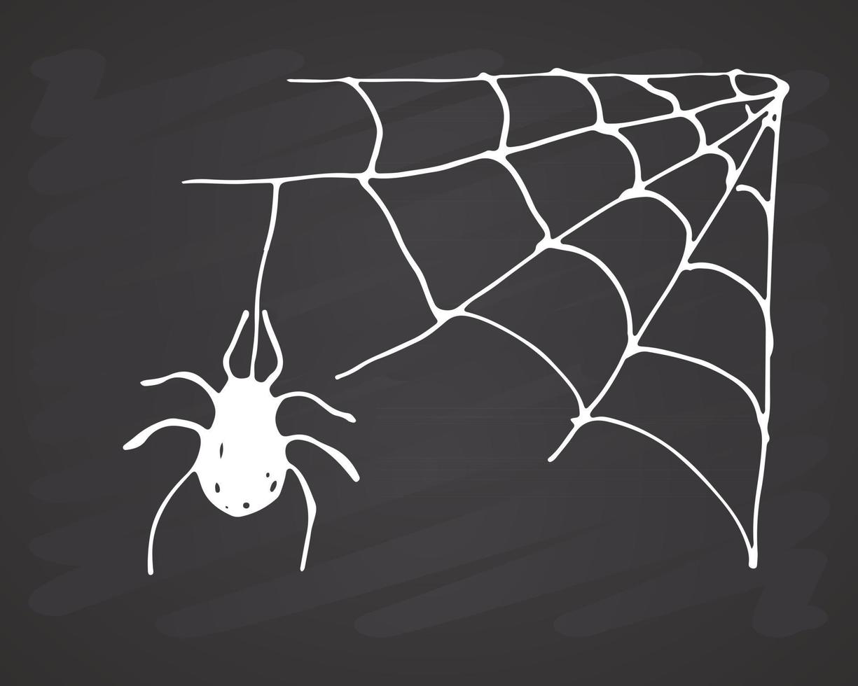 Tela de araña dibujada a mano ilustración de vector de web bosquejado aislado sobre fondo blanco