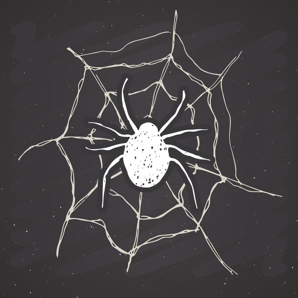 Araña y etiqueta vintage web, boceto dibujado a mano tarjeta de felicitación de halloween, insignia retro con textura grunge, estampado de camiseta de diseño de tipografía, ilustración vectorial vector