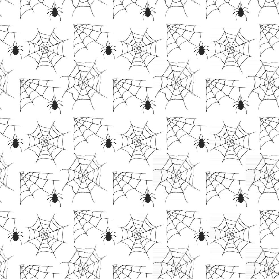 Spider web seamless pattern vector illustration. Hand drawn sketched web background