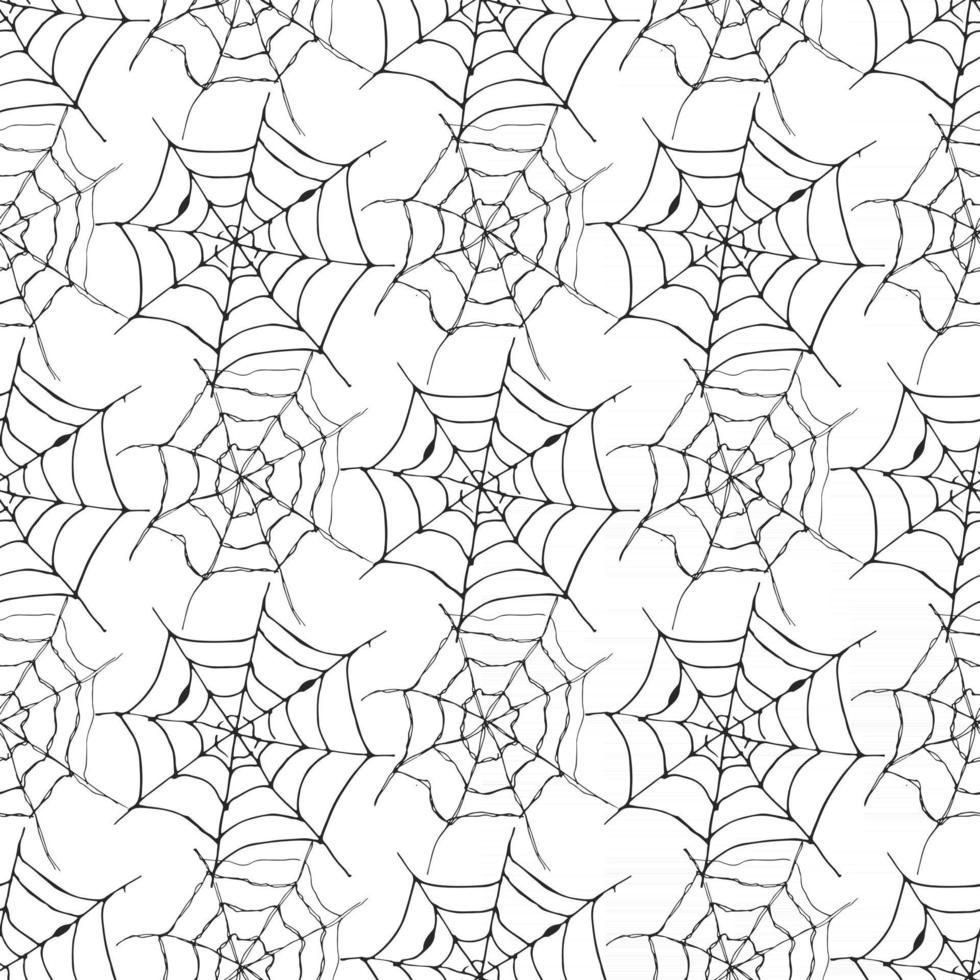 Spider web seamless pattern vector illustration. Hand drawn sketched web background