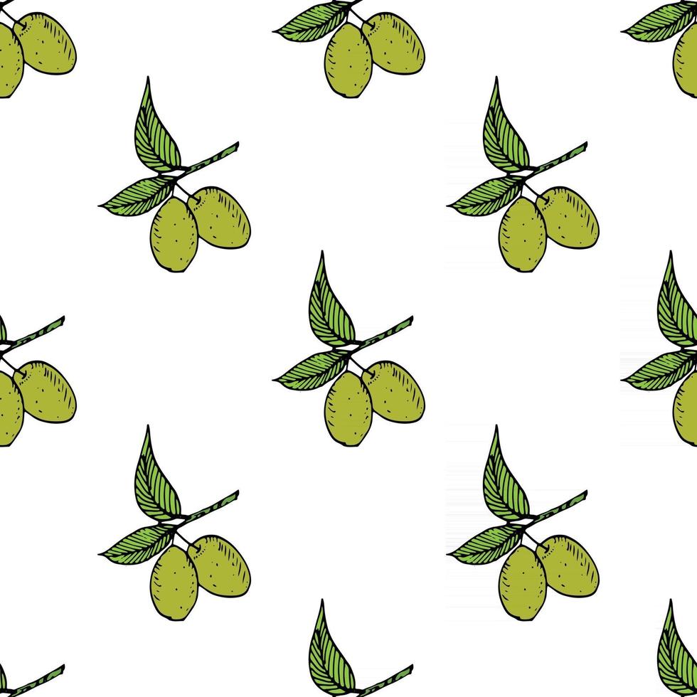 Olive branch seamless pattern. Natural background Design with olives for olive oil or cosmetics products, vector illustration