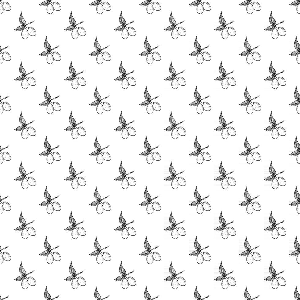 Olive branch seamless pattern. Natural background Design with olives for olive oil or cosmetics products, vector illustration