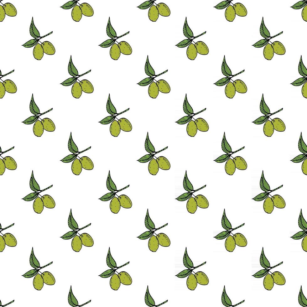Olive branch seamless pattern. Natural background Design with olives for olive oil or cosmetics products, vector illustration