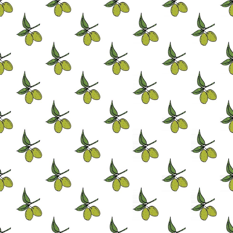 patrón sin fisuras de la rama de olivo. Diseño de fondo natural con aceitunas para aceite de oliva o productos cosméticos, ilustración vectorial vector