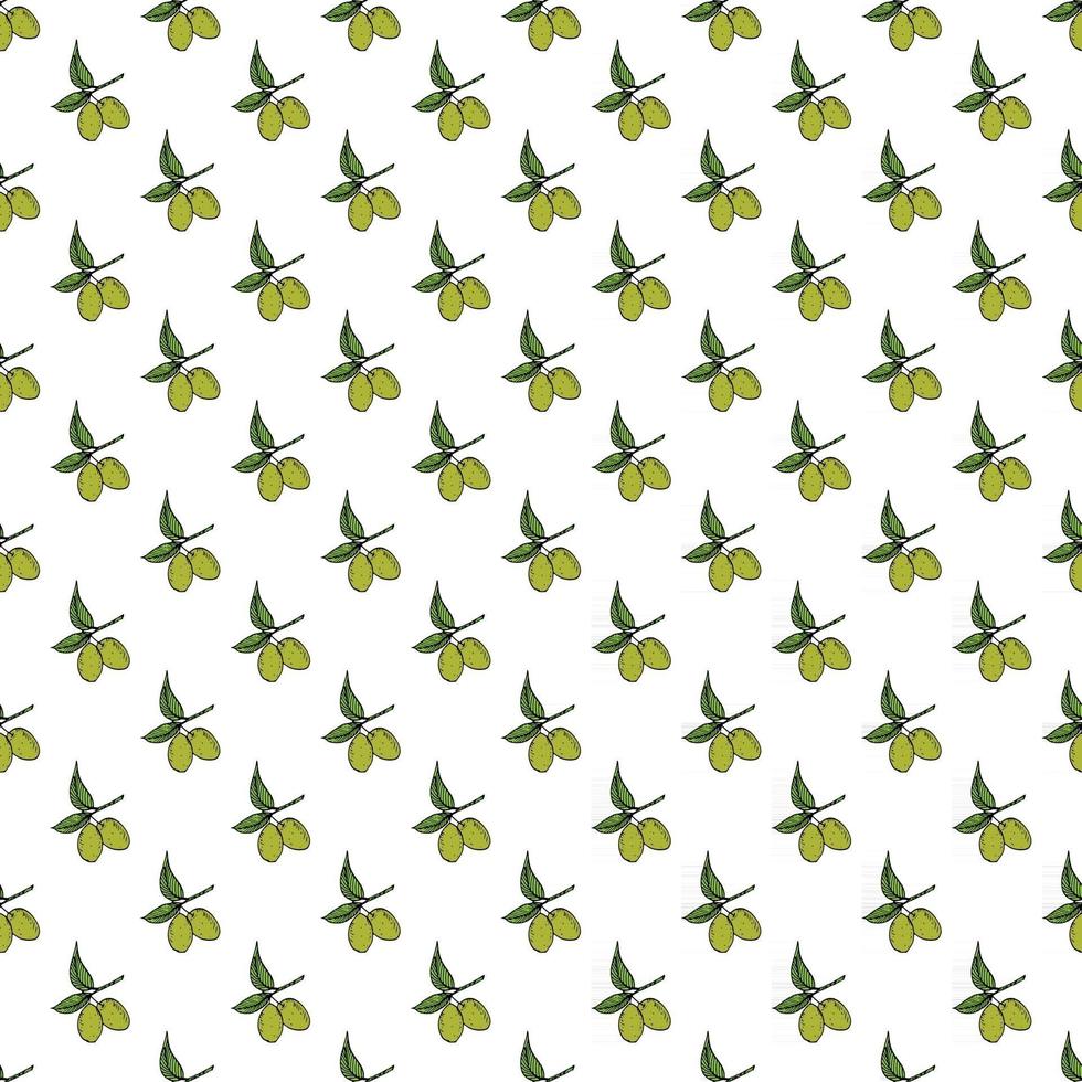 Olive branch seamless pattern. Natural background Design with olives for olive oil or cosmetics products, vector illustration