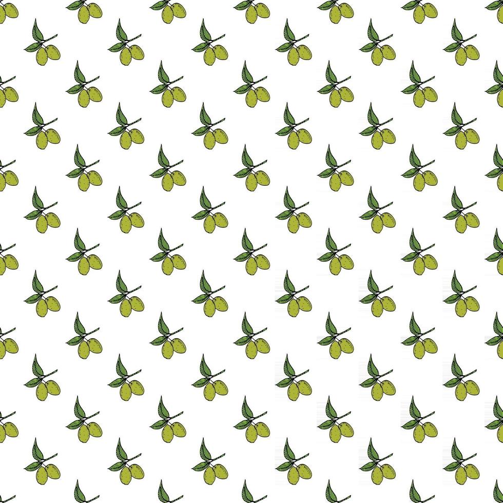 Olive branch seamless pattern. Natural background Design with olives for olive oil or cosmetics products, vector illustration