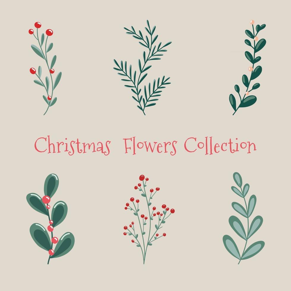 colección floral navideña con plantas y flores decorativas de invierno linda mano dibujada en estilo escandinavo ilustración de bayas de invierno y ramas de un árbol de navidad vector