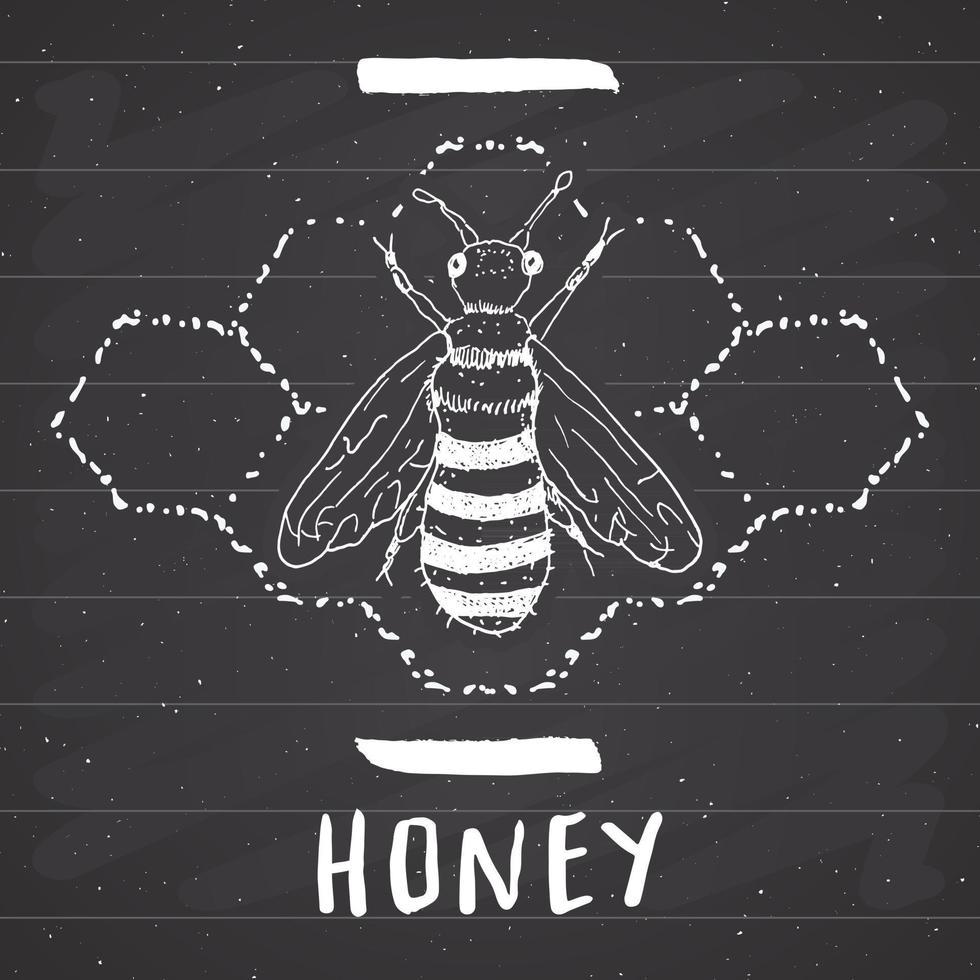 etiqueta vintage, abeja dibujada a mano, insignia con textura grunge, plantilla de logotipo retro, ilustración de vector de diseño de tipografía