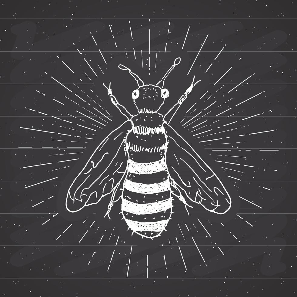 etiqueta vintage, abeja dibujada a mano, insignia con textura grunge, plantilla de logotipo retro, ilustración de vector de diseño de tipografía