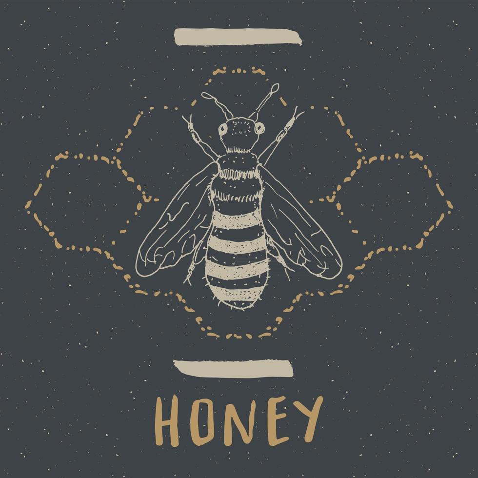 etiqueta vintage, abeja dibujada a mano, insignia con textura grunge, plantilla de logotipo retro, ilustración de vector de diseño de tipografía