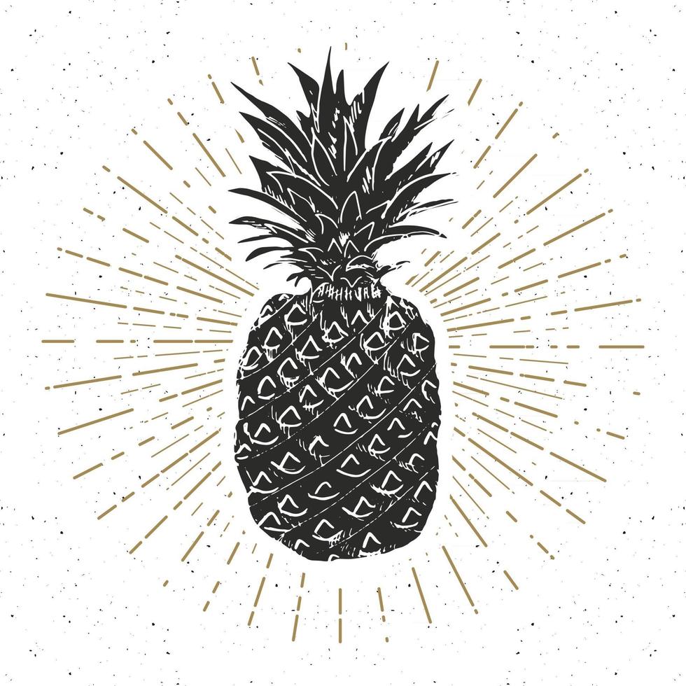 etiqueta vintage, piña dibujada a mano, plantilla de placa retro con textura grunge, ilustración de vector de diseño de tipografía