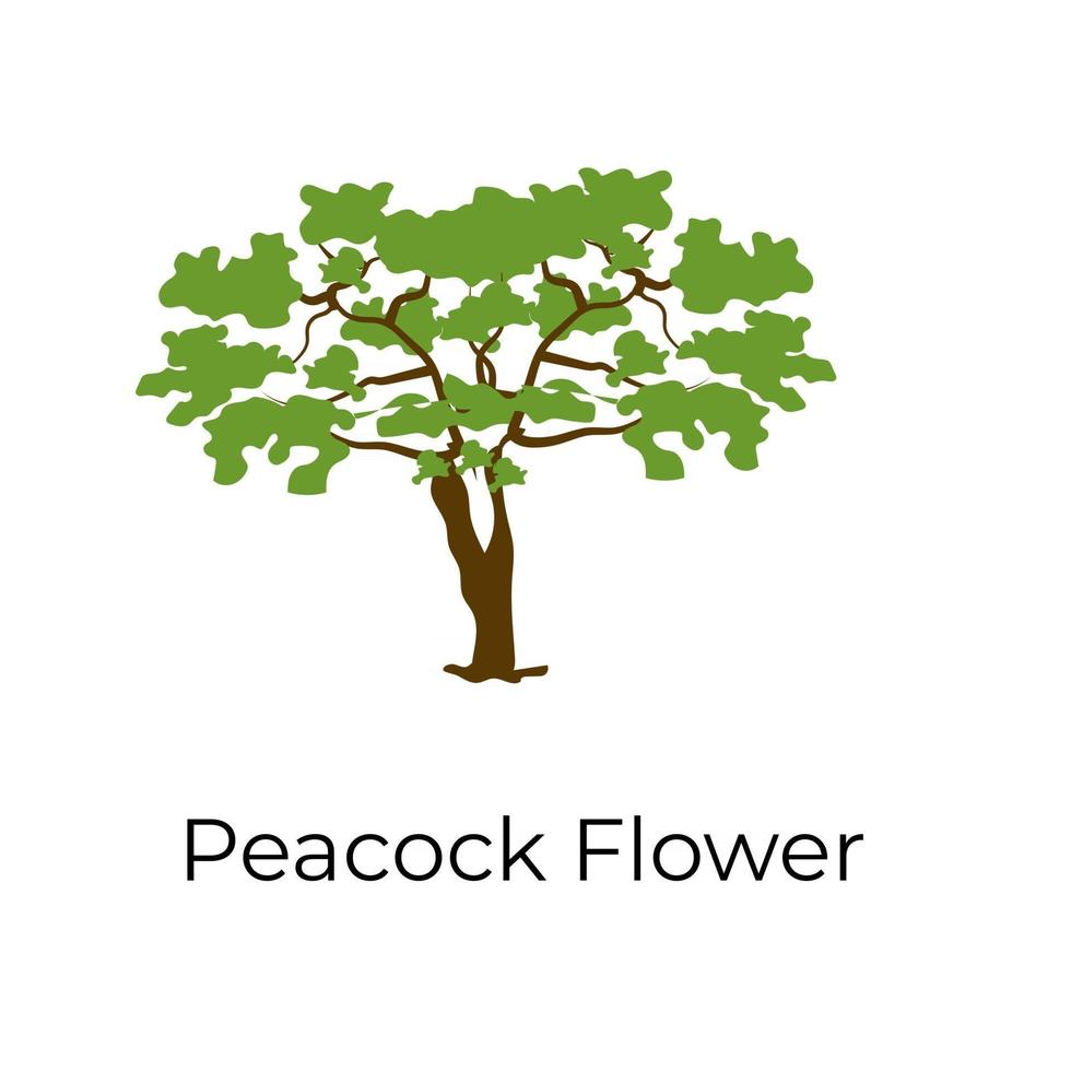 árbol de flor de pavo real vector