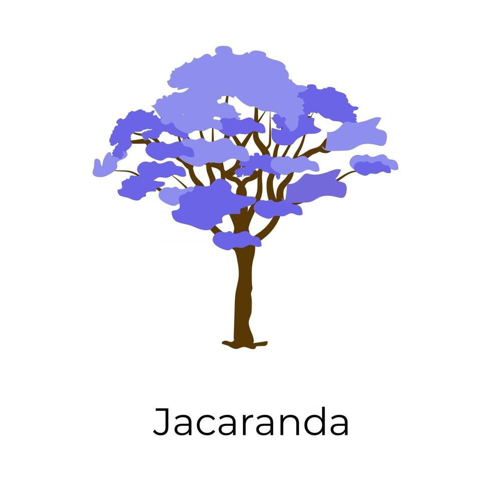 árbol de jacaranda azul vector