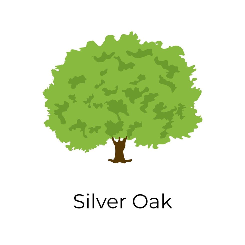 Silver Oak Design vector