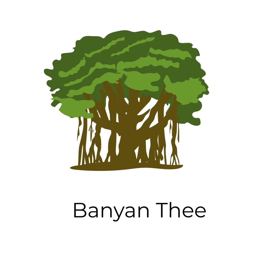 Banyan Fig Tree vector