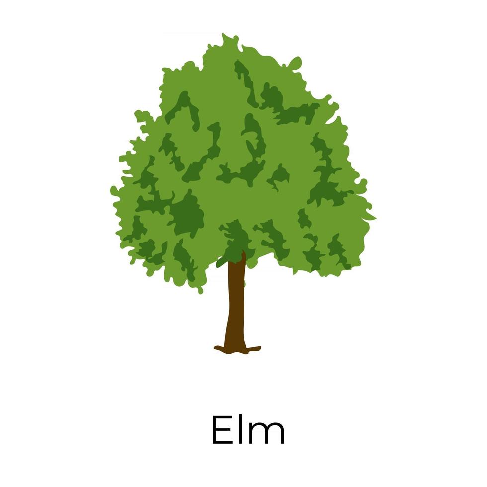 Elm Tree Design vector
