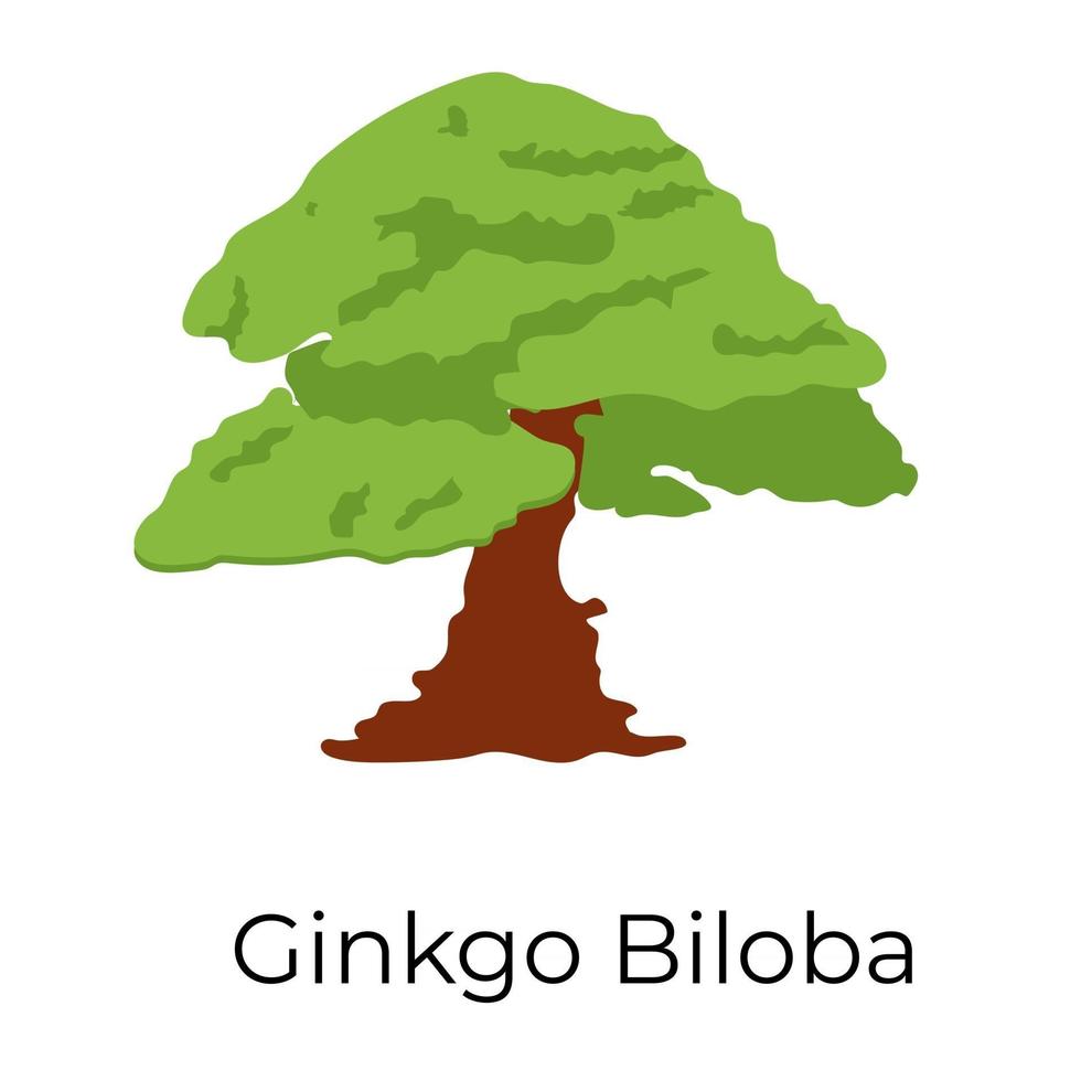 Ginkgo Biloba Design vector