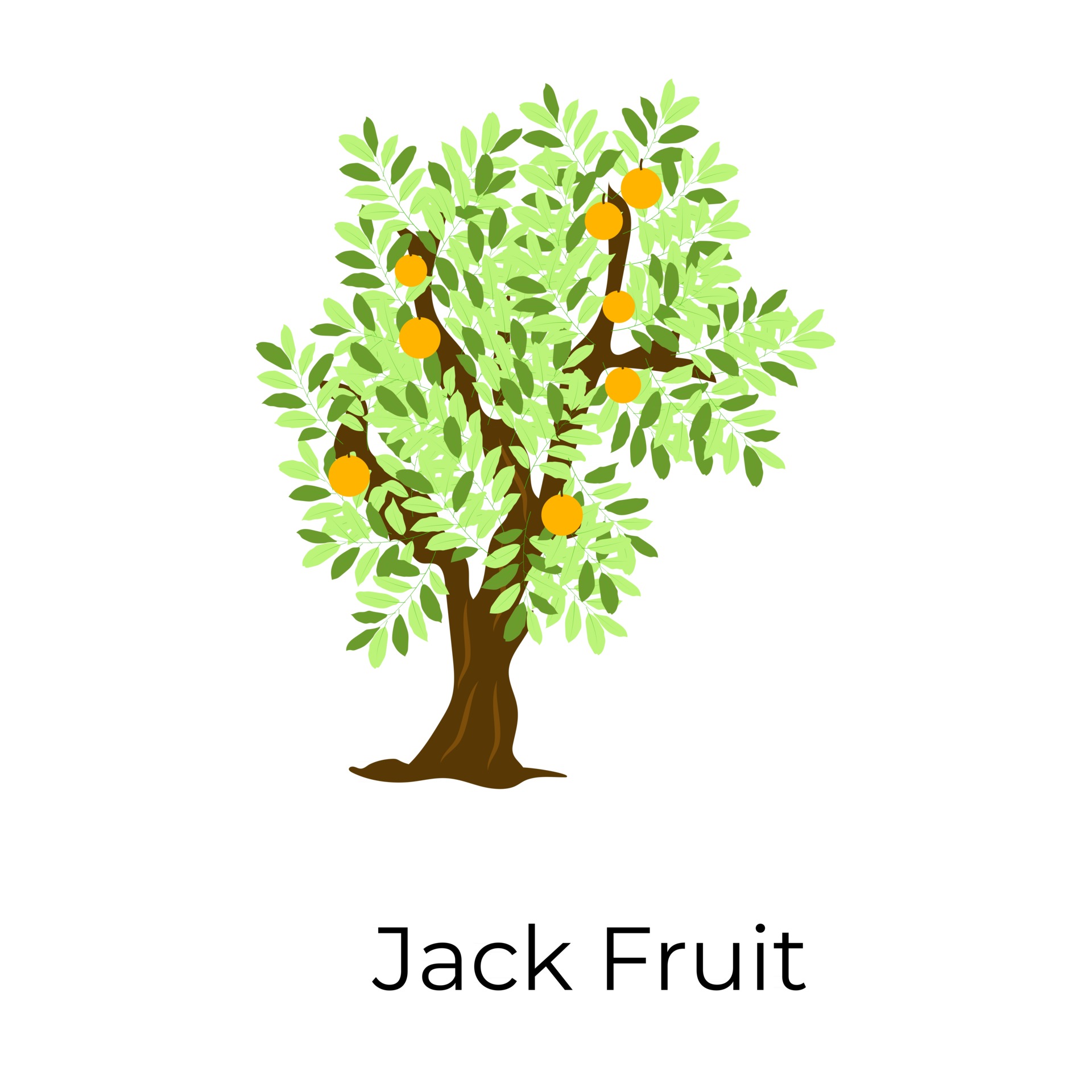 Jackfruit Tree Design 2709977 Vector Art at Vecteezy