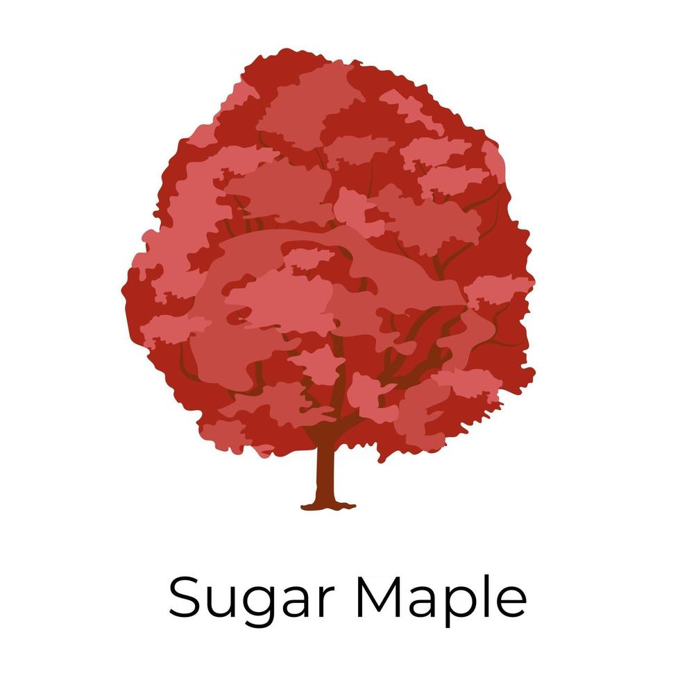 Sugar Maple Design vector