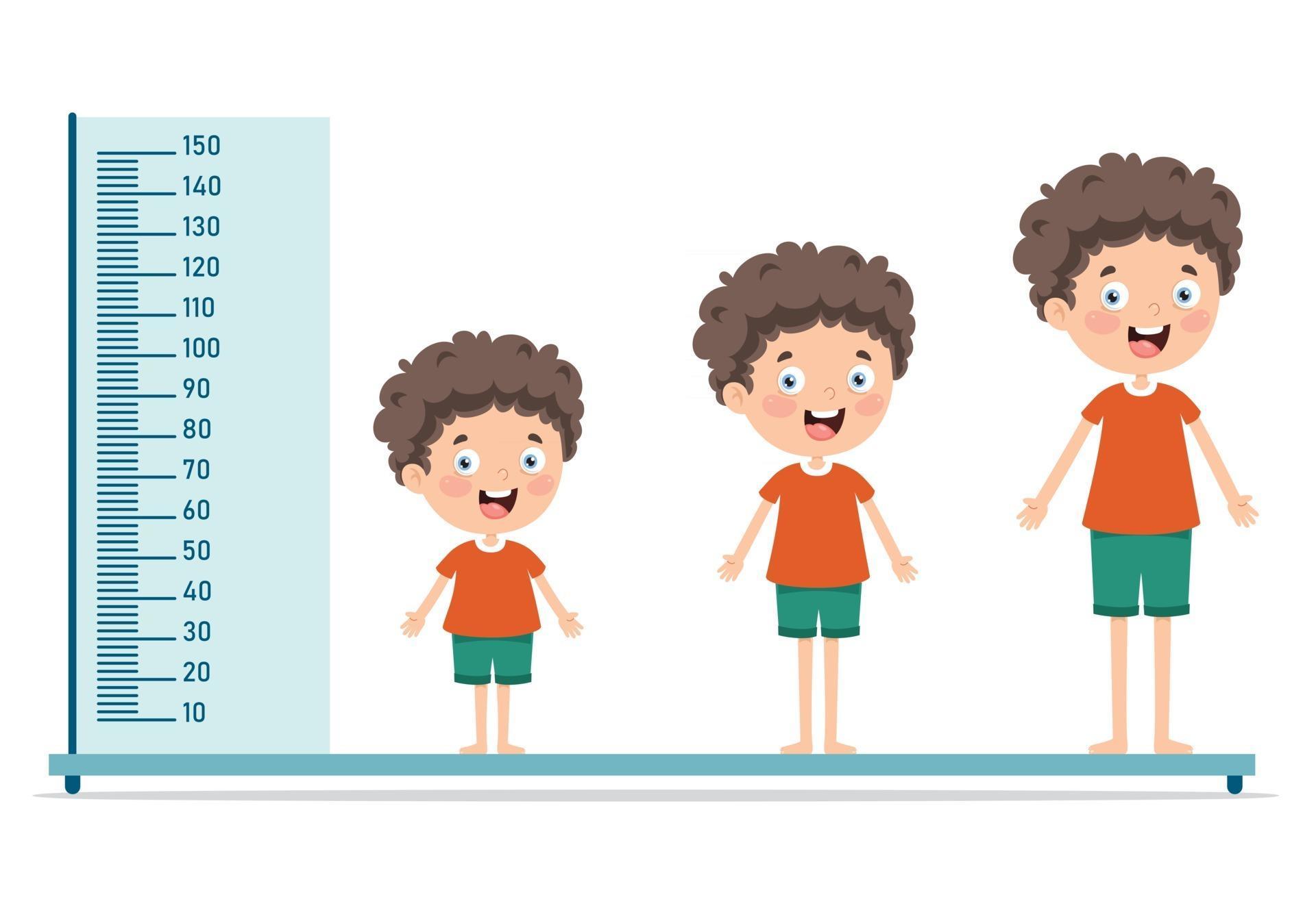Height Measure For Little Children 2710397 Vector Art at Vecteezy