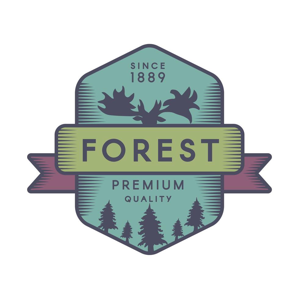 Forest color logo template vector
