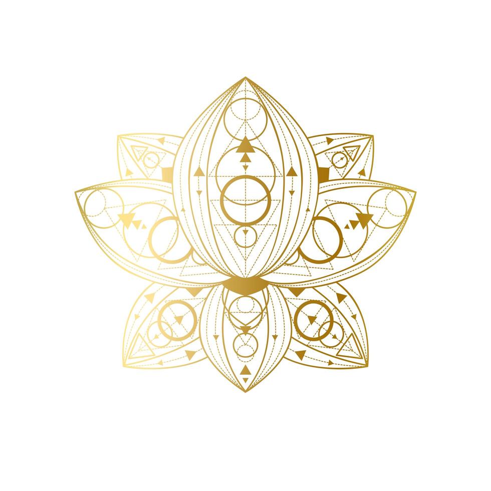 Lotus flower with geometric golden ornament vector linear illustration