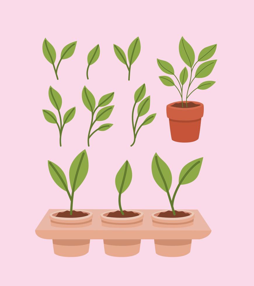 sprouts in pots vector