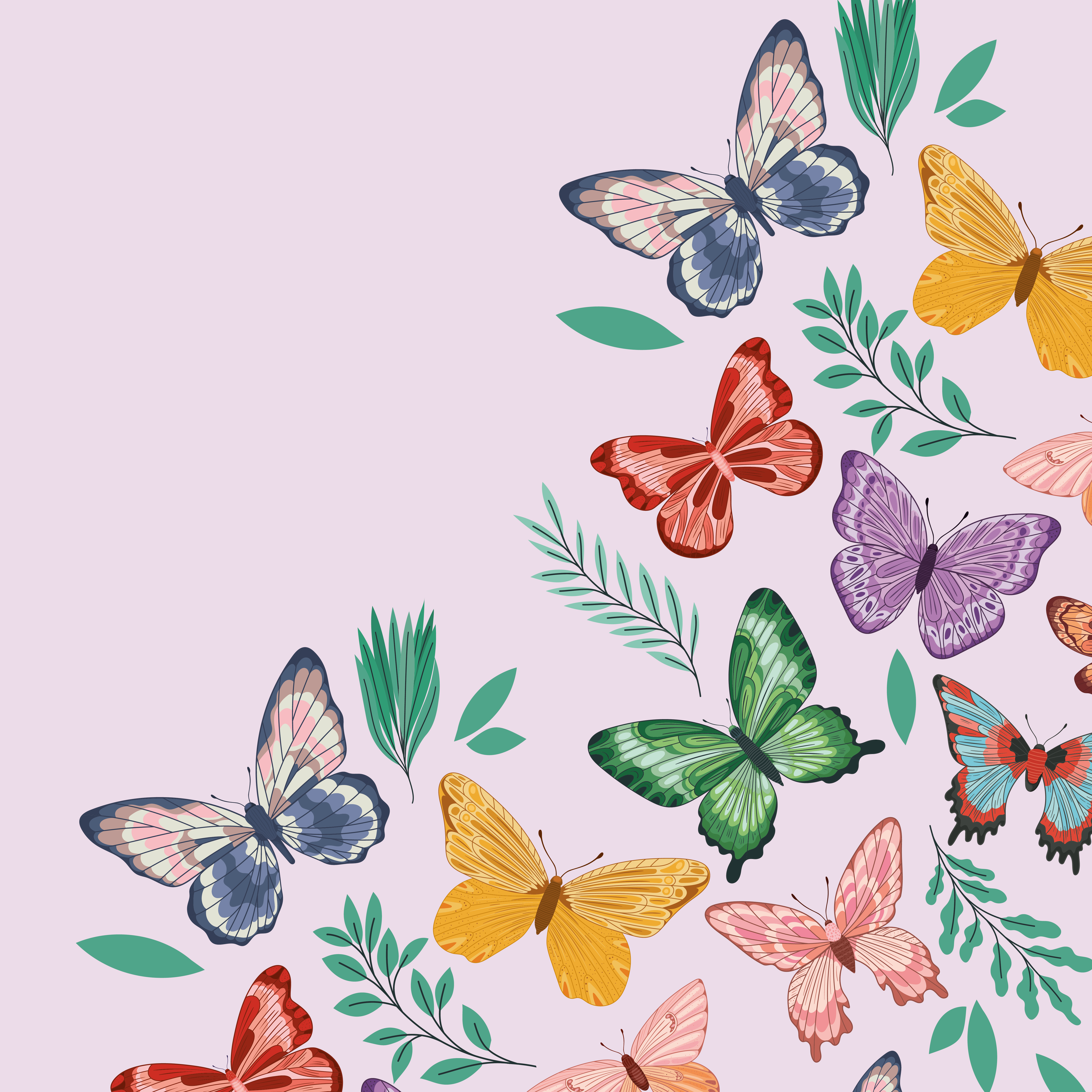 cute butterfly wallpaper