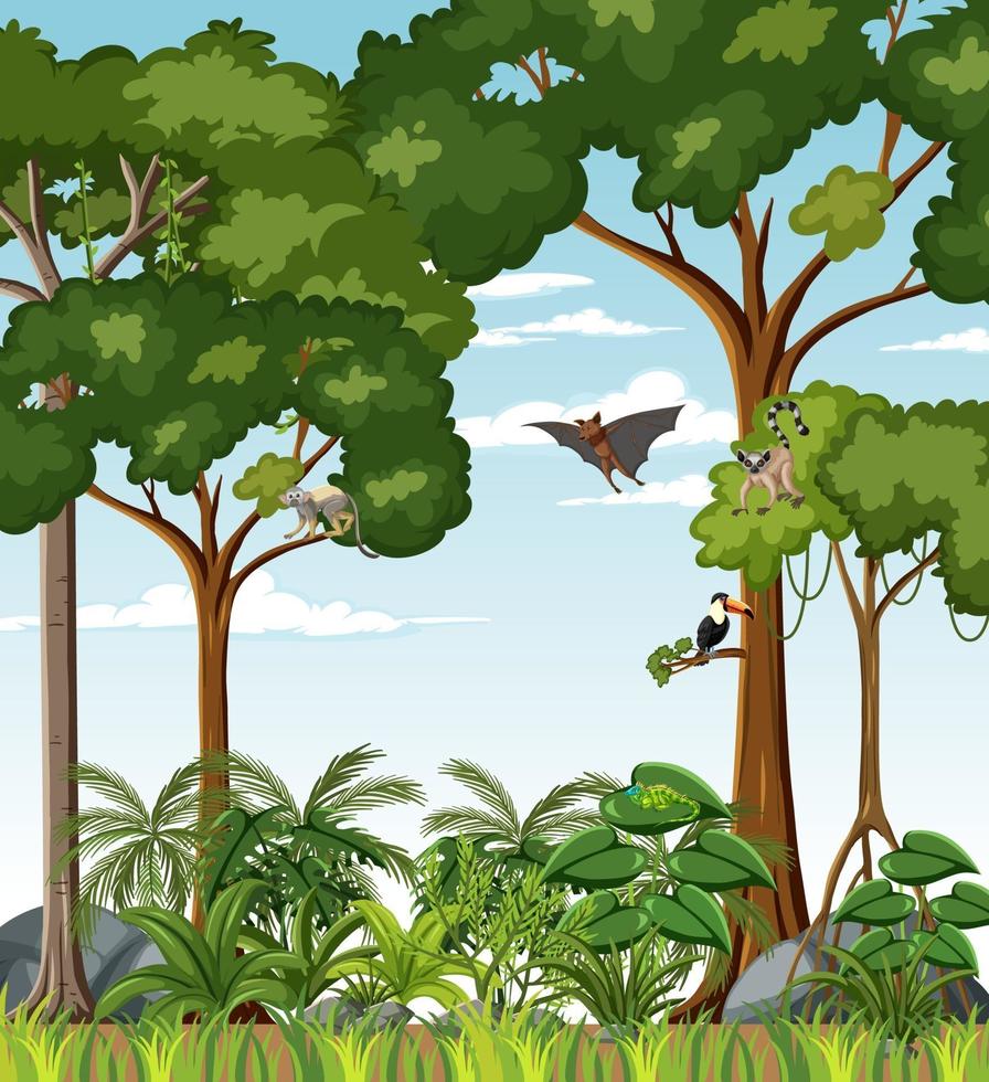 Tropical rainforest scene with various wild animals vector
